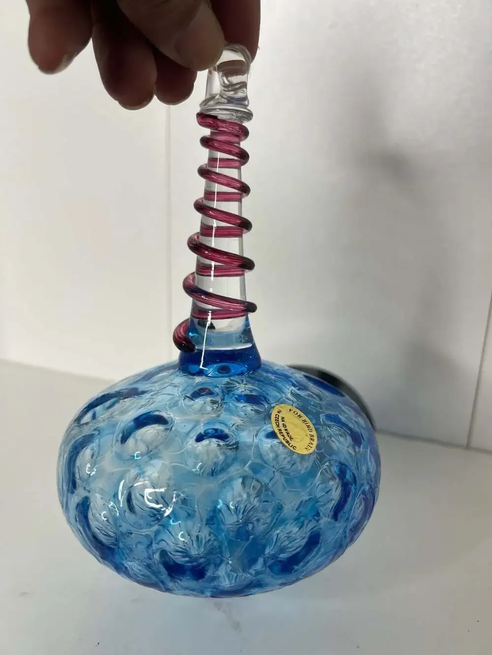For Bird Brain Hand Blown Art Glass Teardrop Hanging Ornament